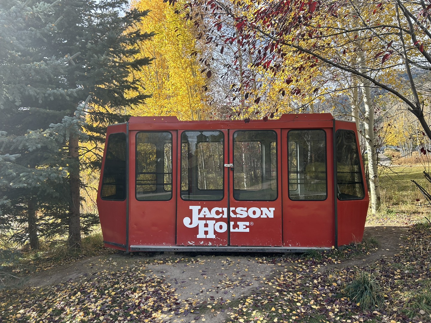 Jackson-hole-cabin